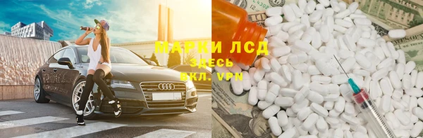 крисы Алексин