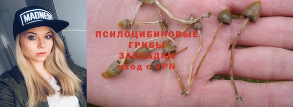 крисы Алексин