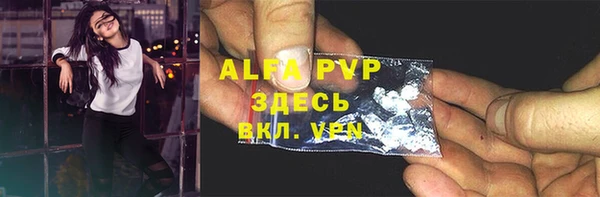 крисы Алексин