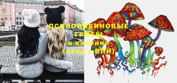 спайс Алексеевка