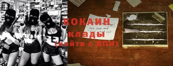 крисы Алексин