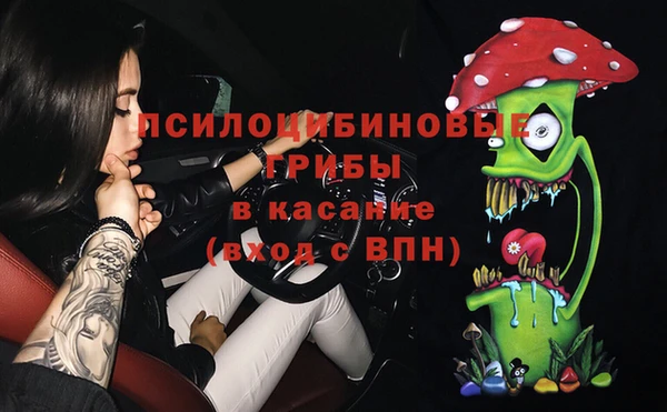 2c-b Алзамай