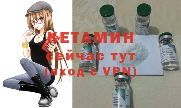 крисы Алексин